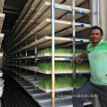 Greenhouse hydroponique de la ferme intelligente de 40 pieds Smart Farm